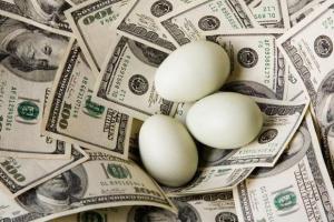 Money Birds - tjen penger på eggene dine