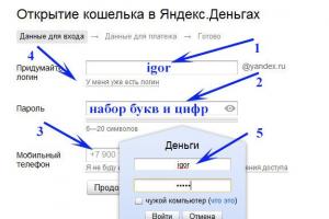 Yandex Money: Hvordan lage en Yandex-lommebok og hvordan du bruker den